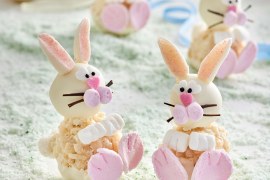 White Chocolate Crackle Bunnies - SHORTS